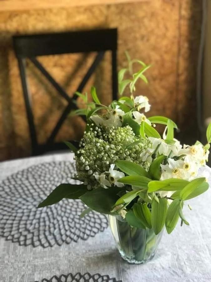 Kica Kroga Apartaments Ainaži المظهر الخارجي الصورة